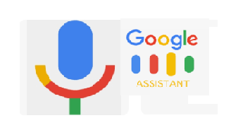Google Voice Assistant